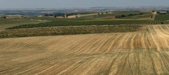 Terreno en Valladolid, Spain 175000 m² No. 182447 3