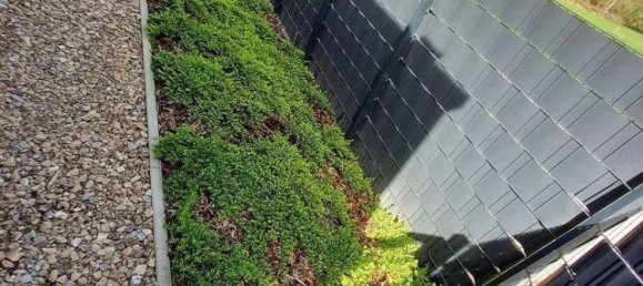 5 Schlafzimmer Haus in Nöchling, Austria, Nr. 234445 11