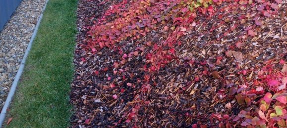 5 Schlafzimmer Haus in Nöchling, Austria, Nr. 234445 12