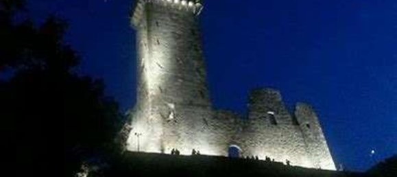 Дом с 10 комнатами в Кастельнуово Магра, Италия № 216825 35