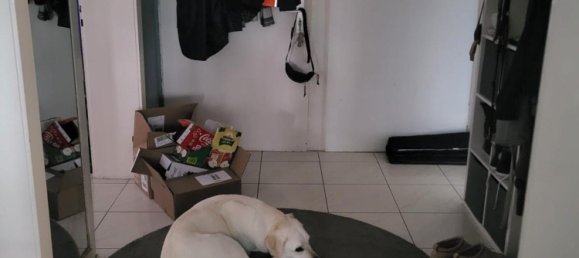 1 chambre Appartement à Main-Kinzig, Germany No. 335146 15