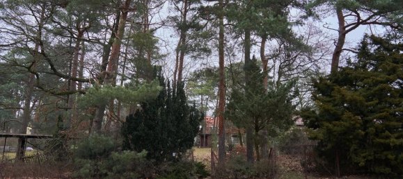  قطعة أرض في Mahlsdorf, Germany رقم 80946 3