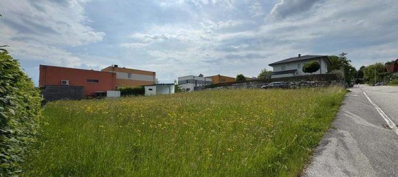 Grundstück in Kematen an der Krems, Austria, Nr. 152093 7