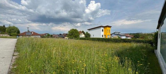 Grundstück in Kematen an der Krems, Austria, Nr. 152093 8