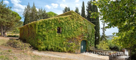 60 bedrooms House in Castellina in Chianti, Italy No. 57241 19