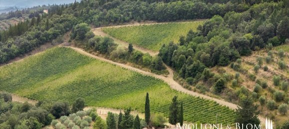 60 bedrooms House in Castellina in Chianti, Italy No. 57241 36