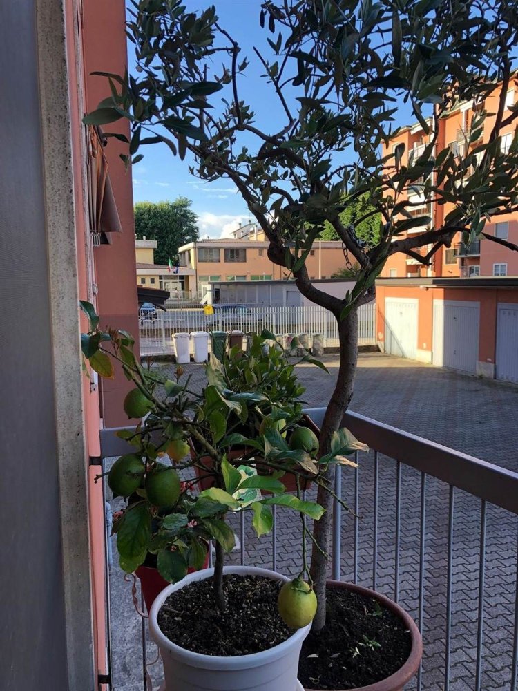 Apartamento de 2 habitaciónes en Paullo, Italy No. 186684