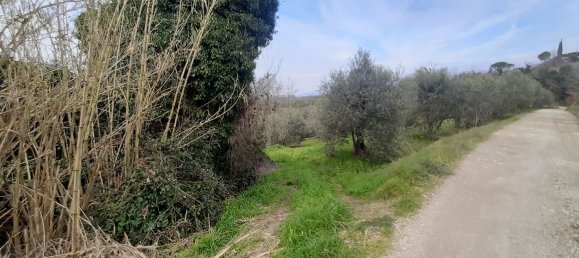 Grundstück in Palaia, Italy 4400m², Nr. 45116 8