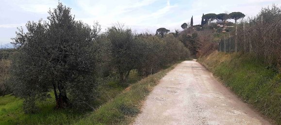 Grundstück in Palaia, Italy 4400m², Nr. 45116 7