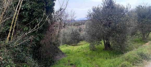 Grundstück in Palaia, Italy 4400m², Nr. 45116 5