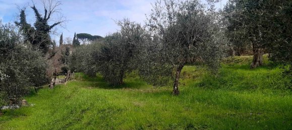 Grundstück in Palaia, Italy 4400m², Nr. 45116 4