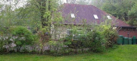 Café/restaurante en Mecklenburgische Seenplatte, Germany 150 m² No. 370268 6