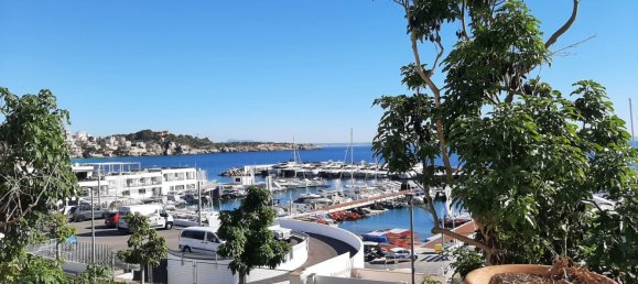 11 bedrooms House in Palma de Majorca, Spain No. 76380 2