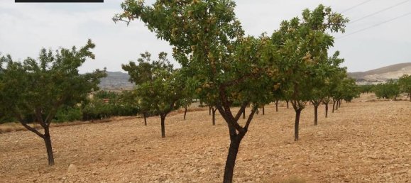  Land in Monovar, Spain No. 164648 2