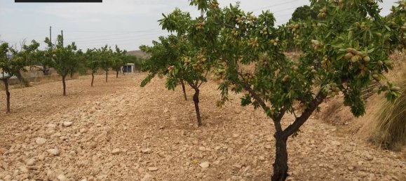  Land in Monovar, Spain No. 164648 6