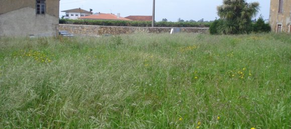  Land in Laundos, Portugal No. 59081 3