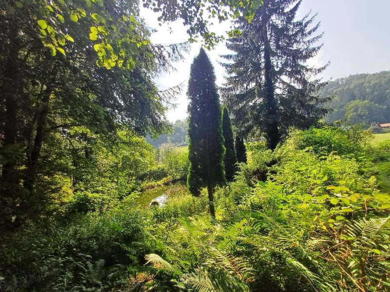  Land in Freyung-Grafenau, Germany No. 273026