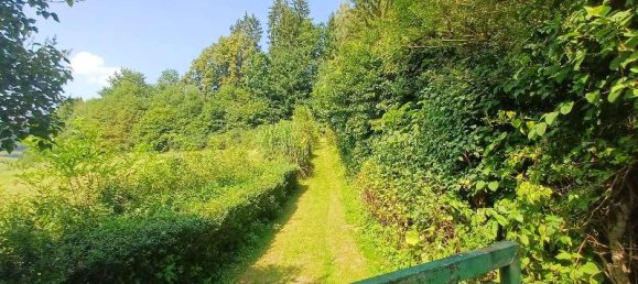  Land in Freyung-Grafenau, Germany No. 273026 2