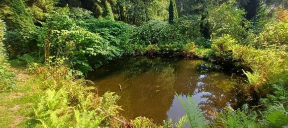  Land in Freyung-Grafenau, Germany No. 273026 4