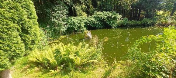  Land in Freyung-Grafenau, Germany No. 273026 3