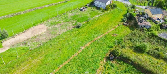 4 bedrooms House in Vilela, Portugal No. 160975 14