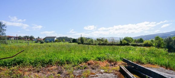 4 bedrooms House in Vilela, Portugal No. 160975 45