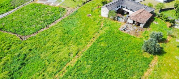 4 bedrooms House in Vilela, Portugal No. 160975 8