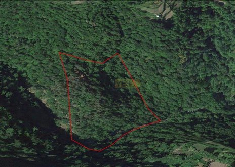 8400m² Land in Castro Daire, Portugal No. 74054