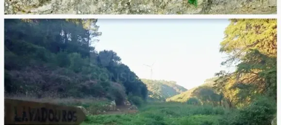 2 غرف نوم فيلا في Lourinha, Portugal رقم 147673 24