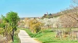 Квартира с 4 комнатами в Доннерскирхен, Австрия № 154386