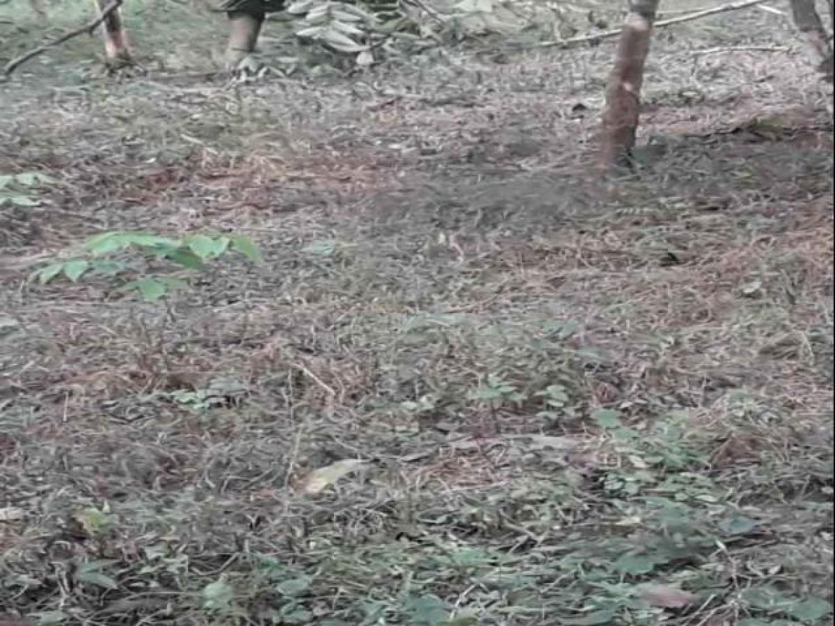  Land in Kolkata, India No. 36026