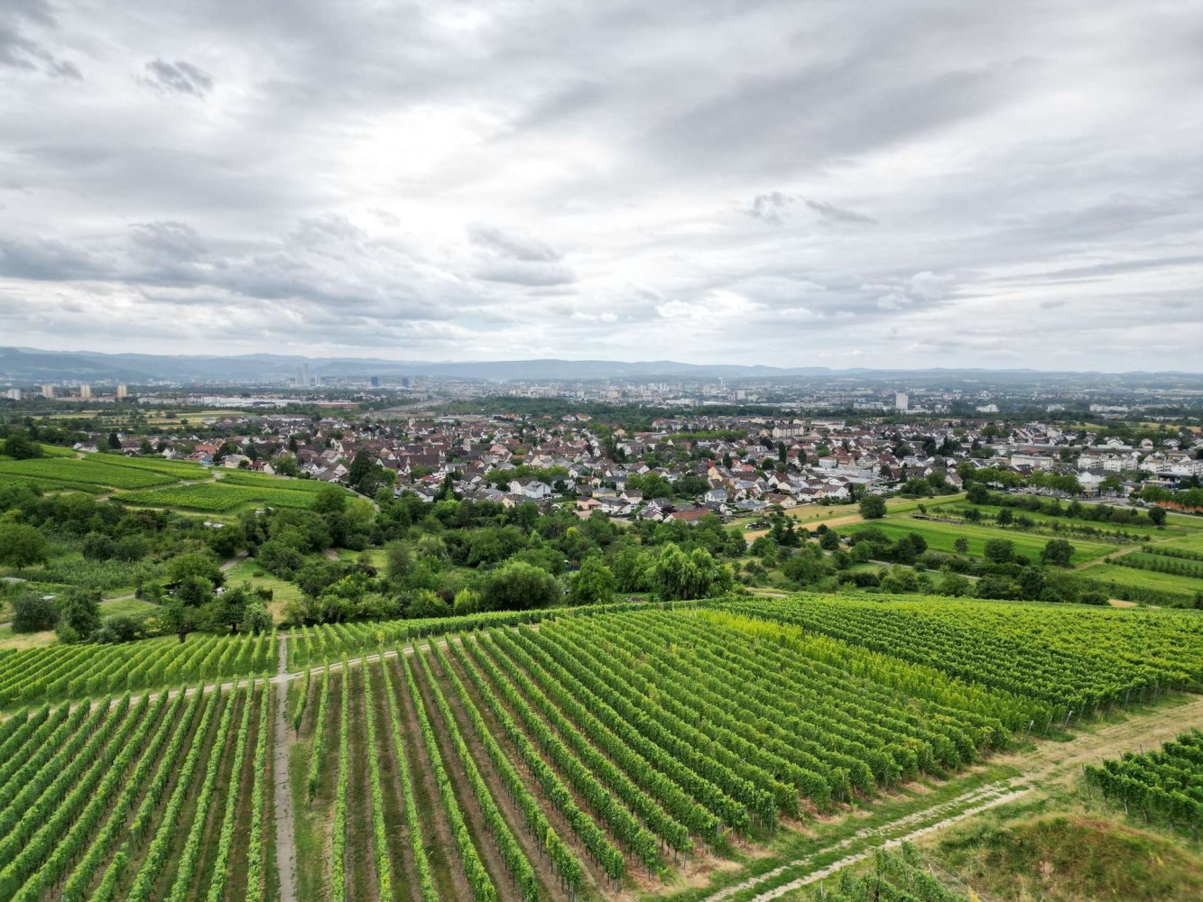 1 Schlafzimmer Wohnung in Lörrach, Germany, Nr. 234708