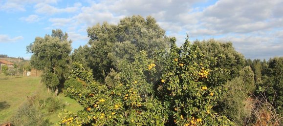 3 bedrooms House in Pedrogao Grande, Portugal No. 185015 40