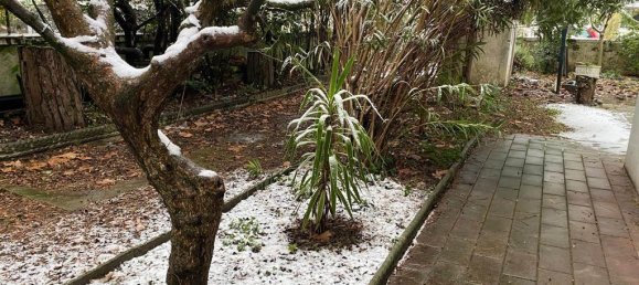 14 rooms Villa in Rimini, Italy No. 149464 2