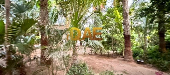 7 غرف نوم فيلا في The World Islands, UAE رقم 8493 14