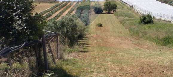 Grundstück in Caltagirone, Italy 4231m², Nr. 116602 4