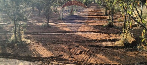 Grundstück in Caltagirone, Italy 4231m², Nr. 116602 5