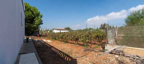 4 غرف نوم فيلا في Protaras, Cyprus رقم 67712 9