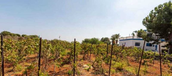 4 غرف نوم فيلا في Protaras, Cyprus رقم 67712 6