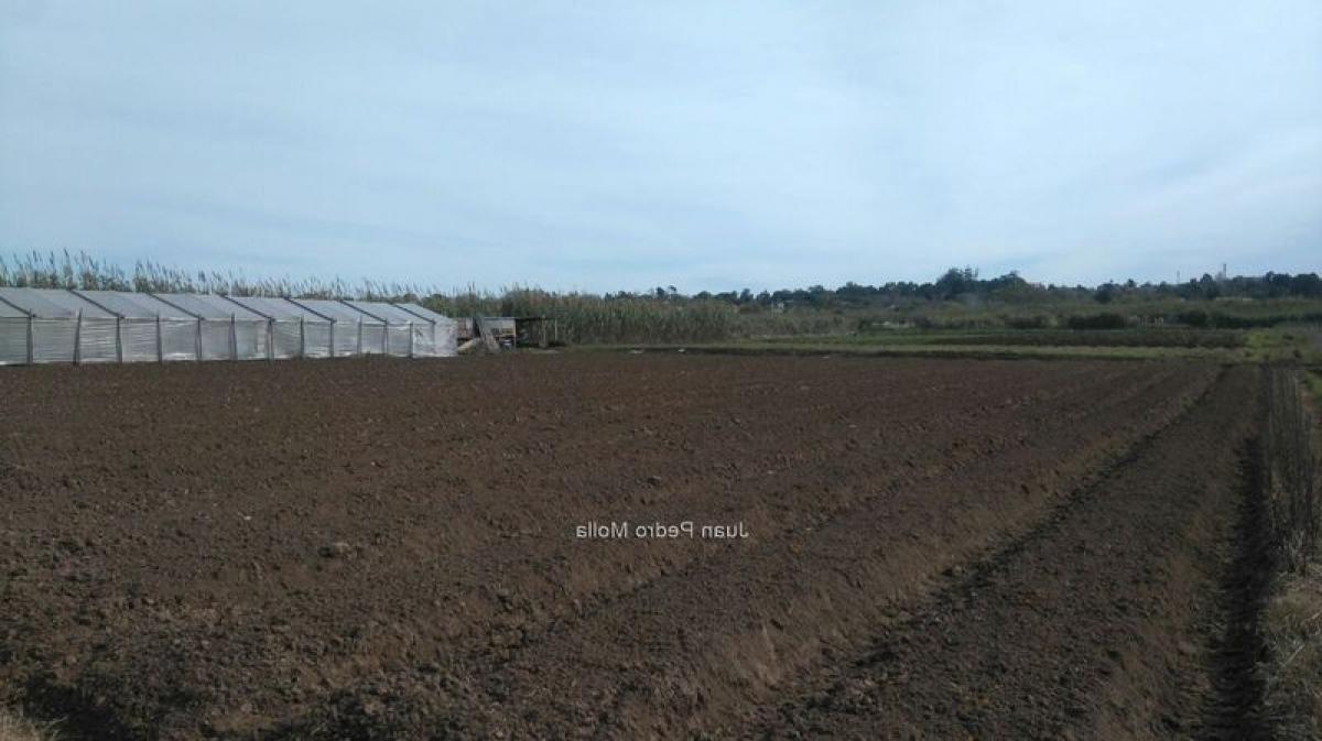  Land in Canelones, Uruguay No. 14996