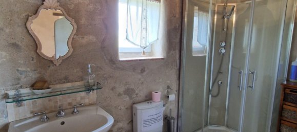 9 chambres Maison à Saint-Denis-en-Val, France No. 63544 44