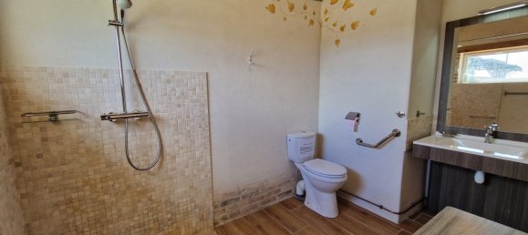 9 chambres Maison à Saint-Denis-en-Val, France No. 63544 32