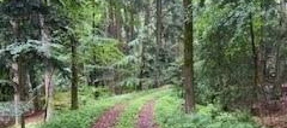 Terreno em Rottal-Inn, Germany N.º 370263 4