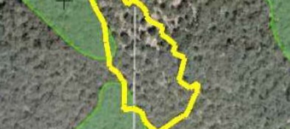 Hotel in Corfu, Greece 4982m², Nr. 52044 17