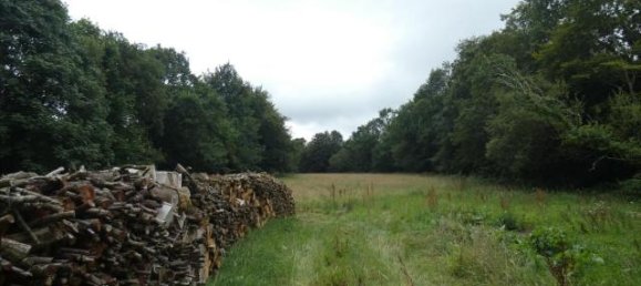 Terreno en Finistere, France No. 335541 2