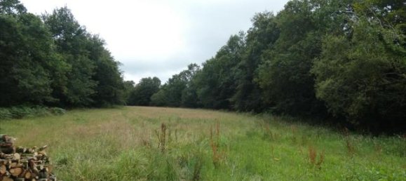 Terreno en Finistere, France No. 335541 3