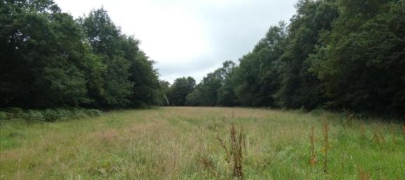 Terreno en Finistere, France No. 335541 4