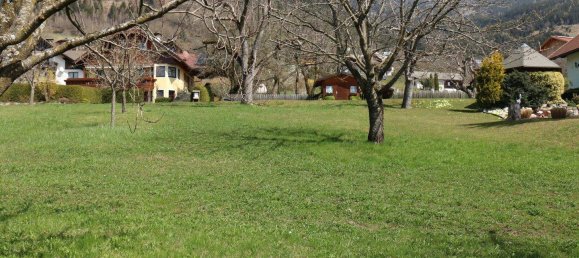 Land in Millstatt am See, Austria No. 256867 13