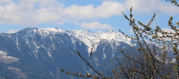 Land in Millstatt am See, Austria No. 256867 11