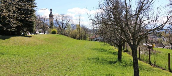 Land in Millstatt am See, Austria No. 256867 7